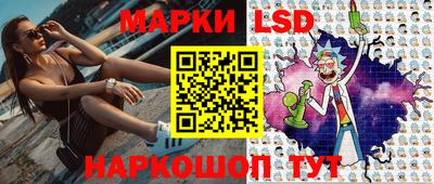 стаф Сланцы