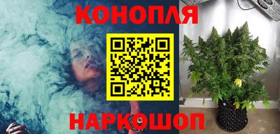 стаф Сланцы