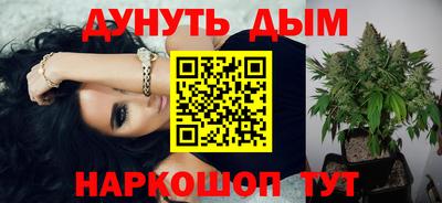стаф Сланцы
