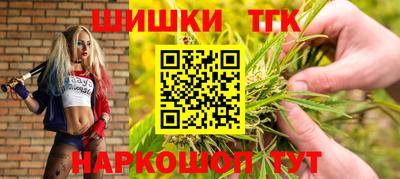 стаф Сланцы