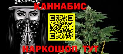 стаф Сланцы
