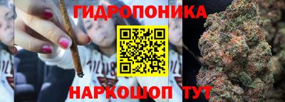 стаф Сланцы