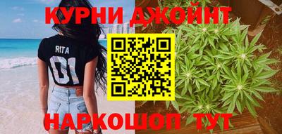 стаф Сланцы