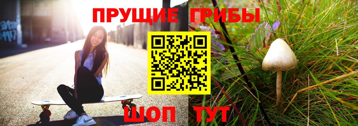 Псилоцибиновые грибы мицелий  Вход с VPN  купить наркоту  Галлюциногенные грибы Cubensis  Альметьевск 